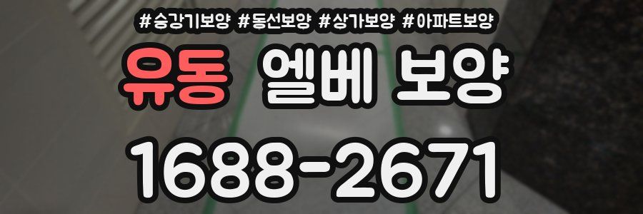유동 엘베 보양