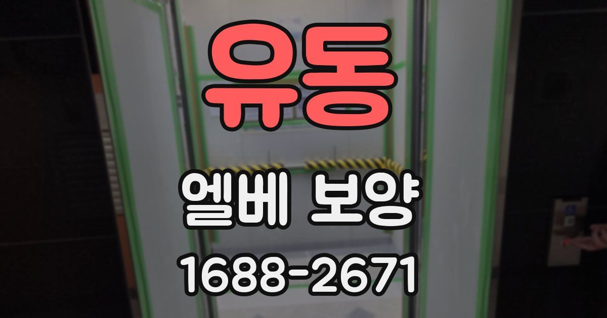 유동 엘베 보양