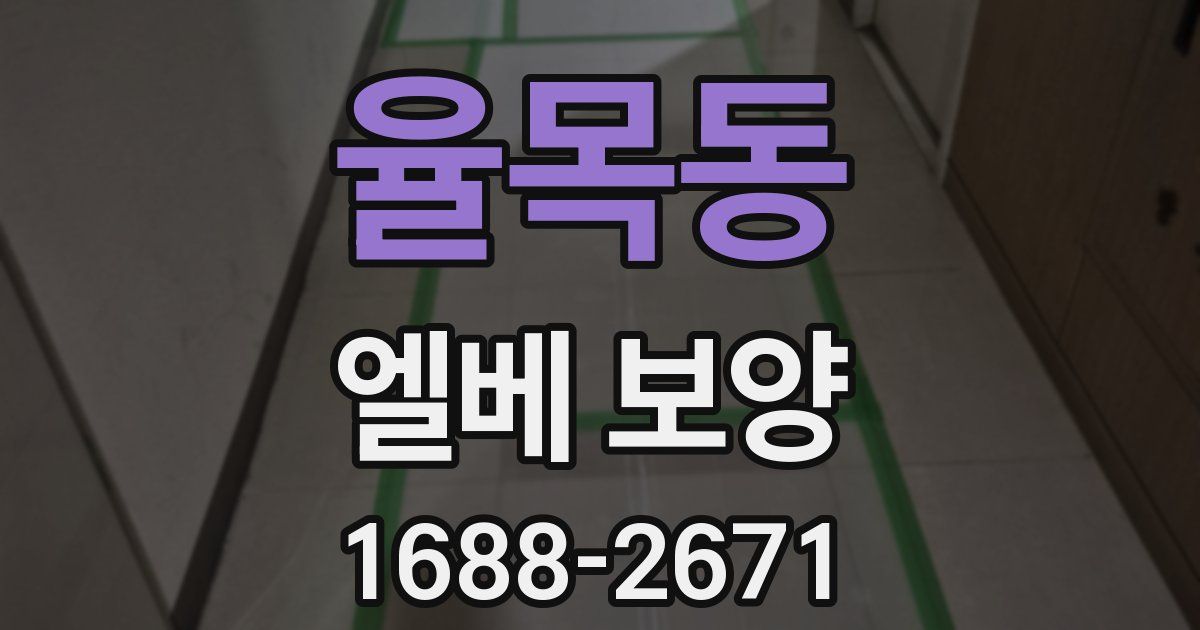 율목동 엘베 보양