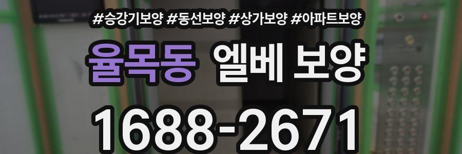 율목동 엘베 보양