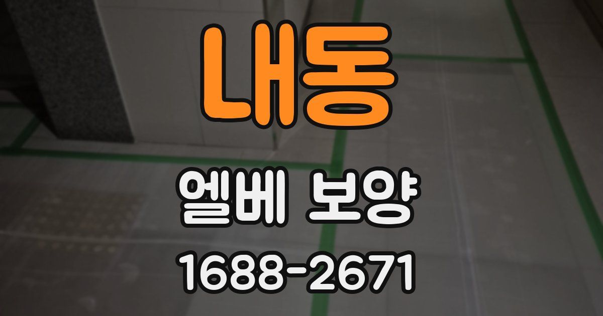 내동 엘베 보양