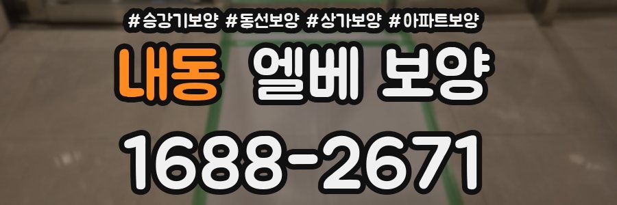 내동 엘베 보양