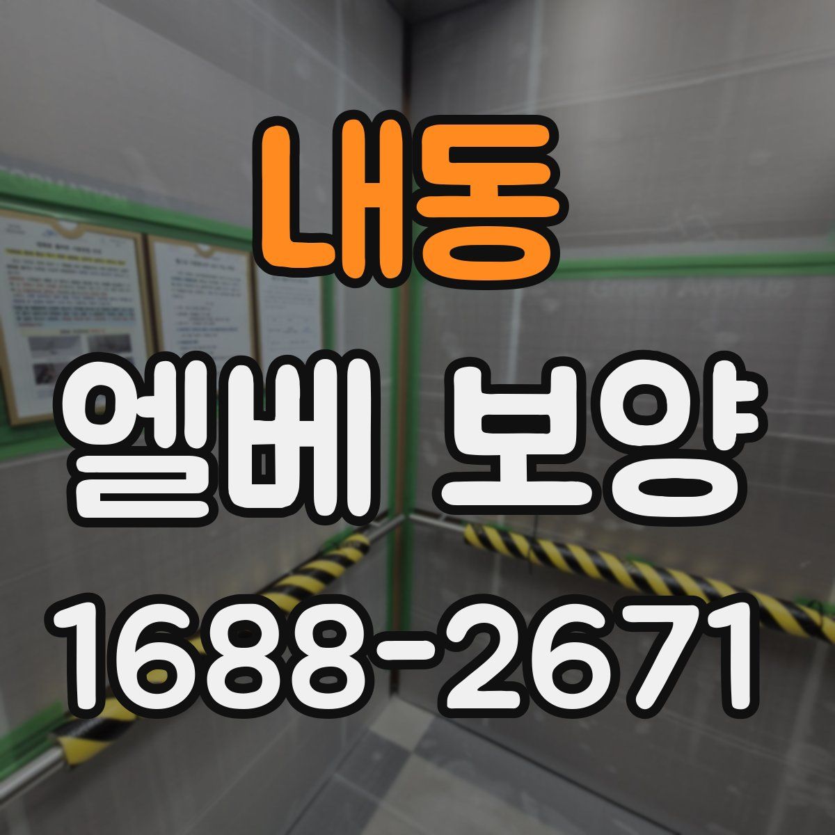 내동 엘베 보양