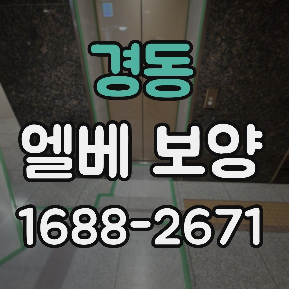 경동 엘베 보양 자재별 장단점과 현장 적용 정리