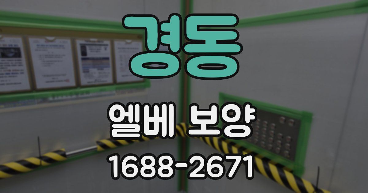 경동 엘베 보양