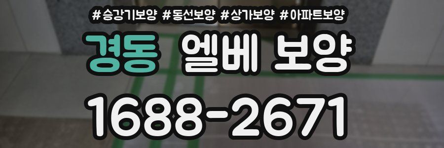 경동 엘베 보양
