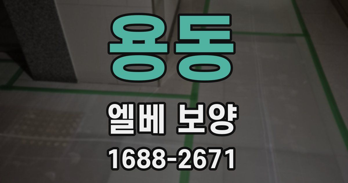 용동 엘베 보양