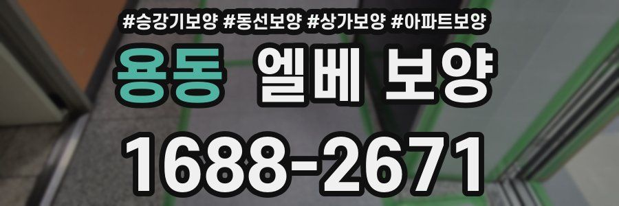 용동 엘베 보양