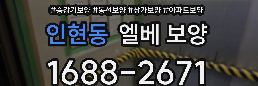 인현동 엘베 보양