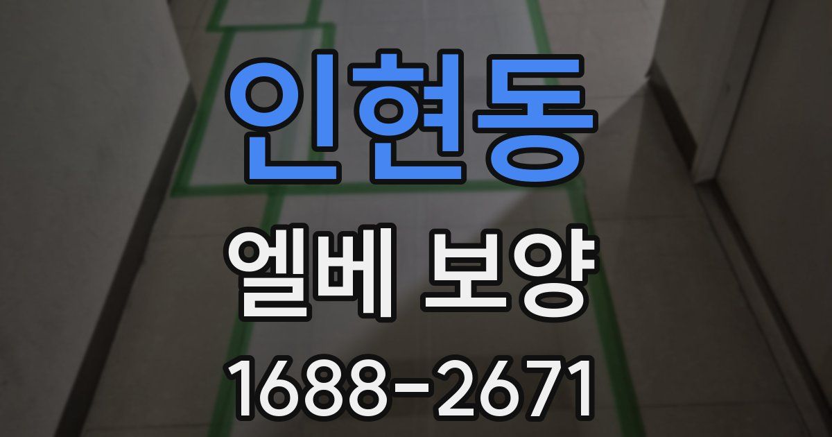 인현동 엘베 보양