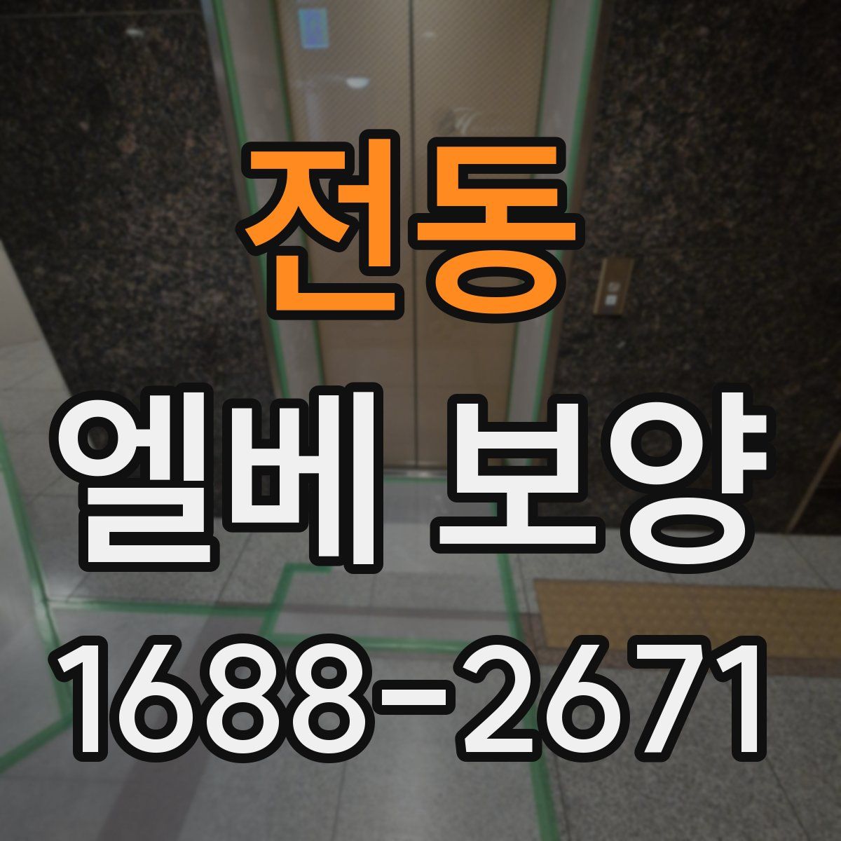 전동 엘베 보양