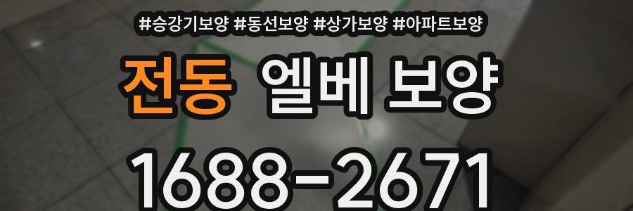 전동 엘베 보양