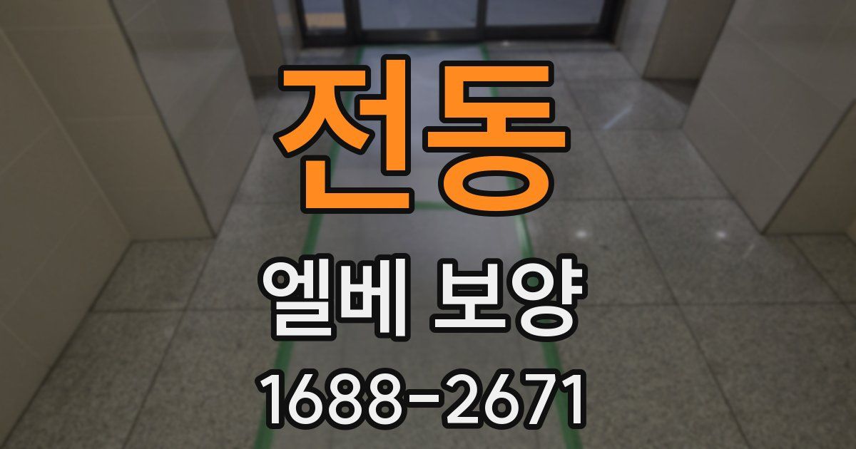전동 엘베 보양