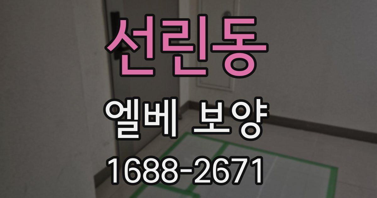 선린동 엘베 보양
