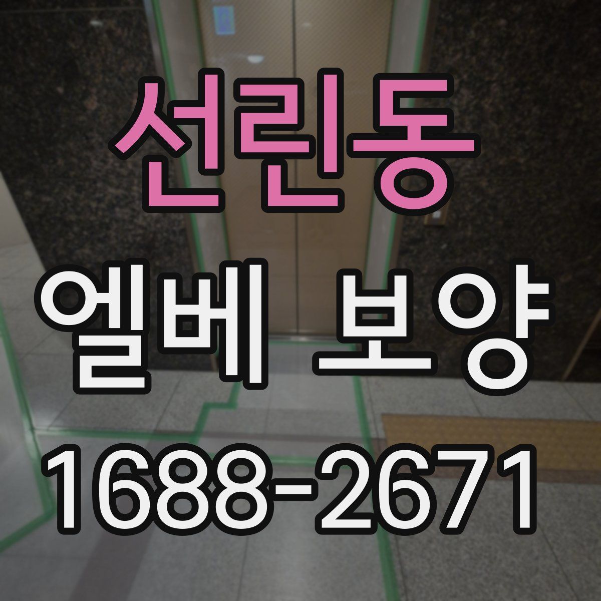 선린동 엘베 보양