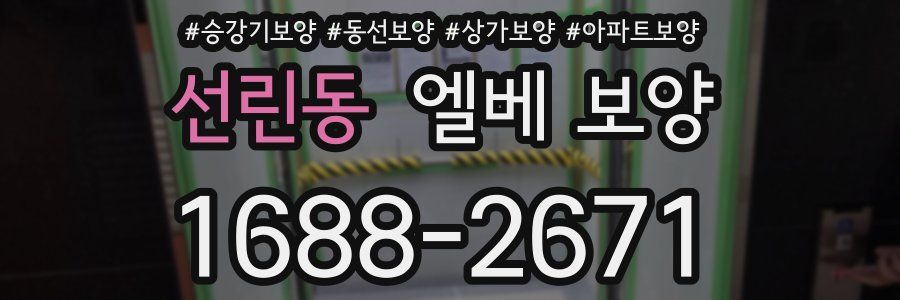 선린동 엘베 보양