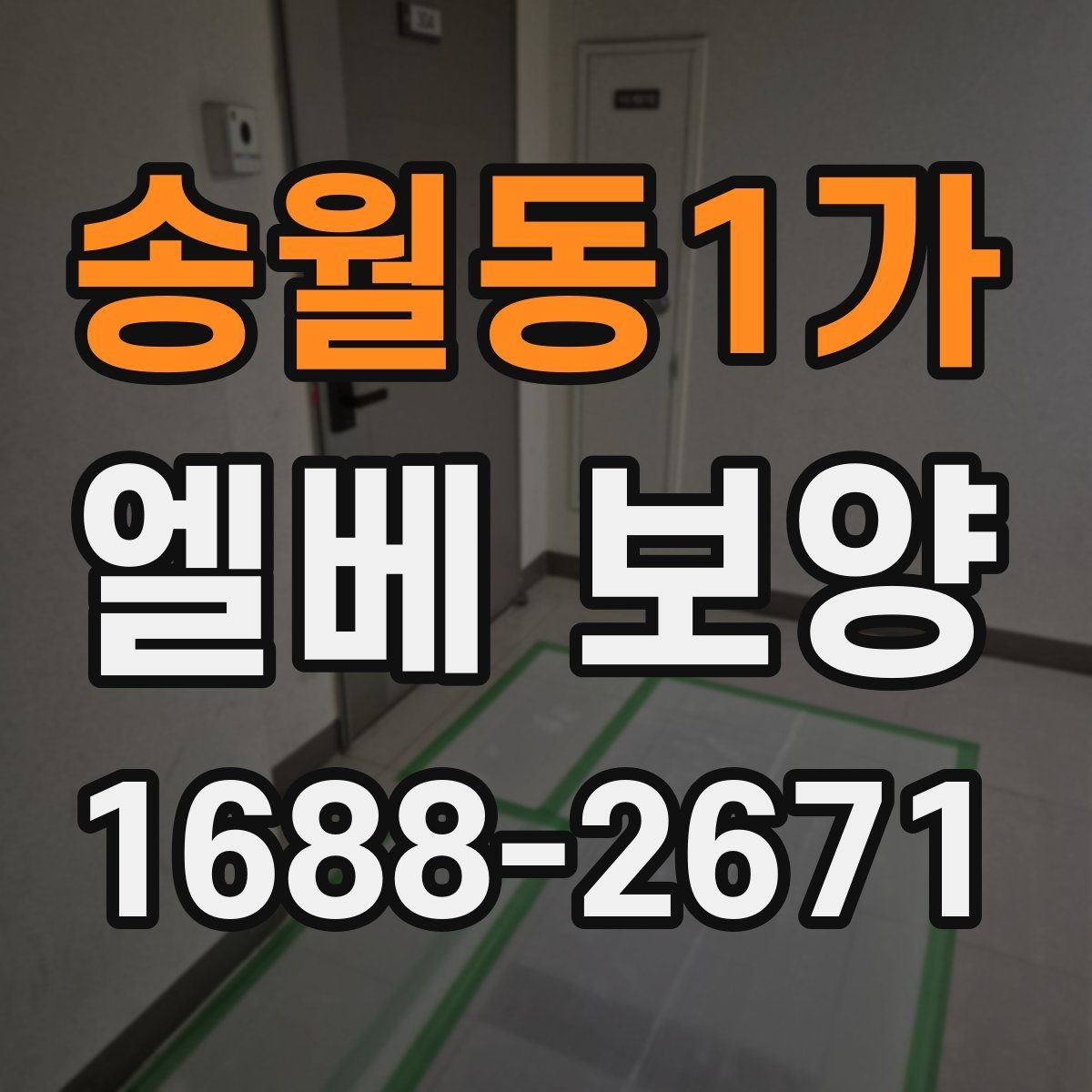 송월동1가 엘베 보양 공용부 동선이 겹칠 때 먼저 볼 곳
