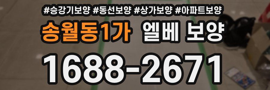 송월동1가 엘베 보양