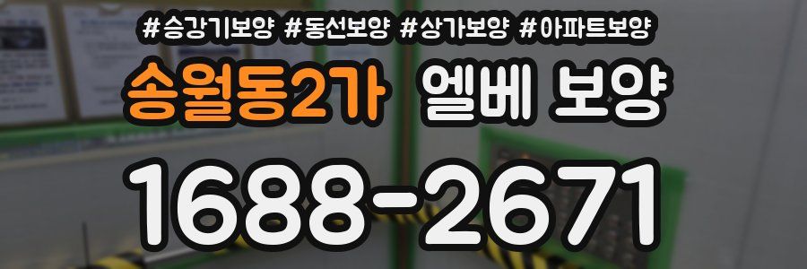 송월동2가 엘베 보양