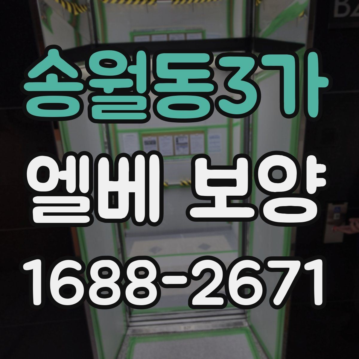 송월동3가 엘베 보양 장비 반입이 잦을 때 충격 줄이는 범위