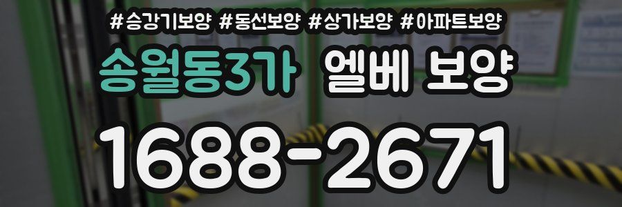 송월동3가 엘베 보양