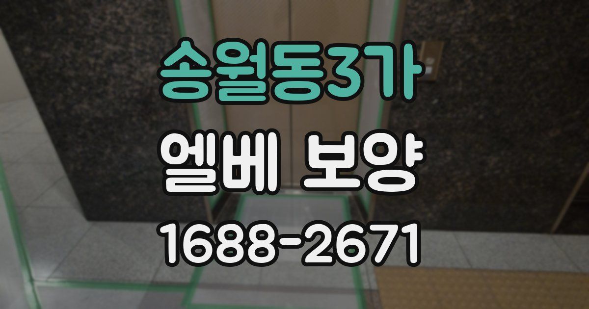 송월동3가 엘베 보양