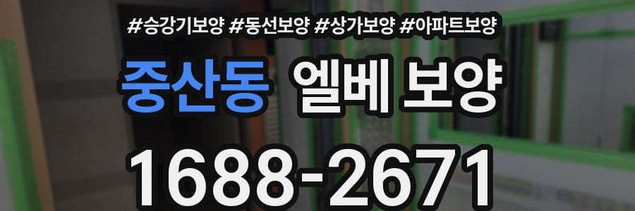 중산동 엘베 보양
