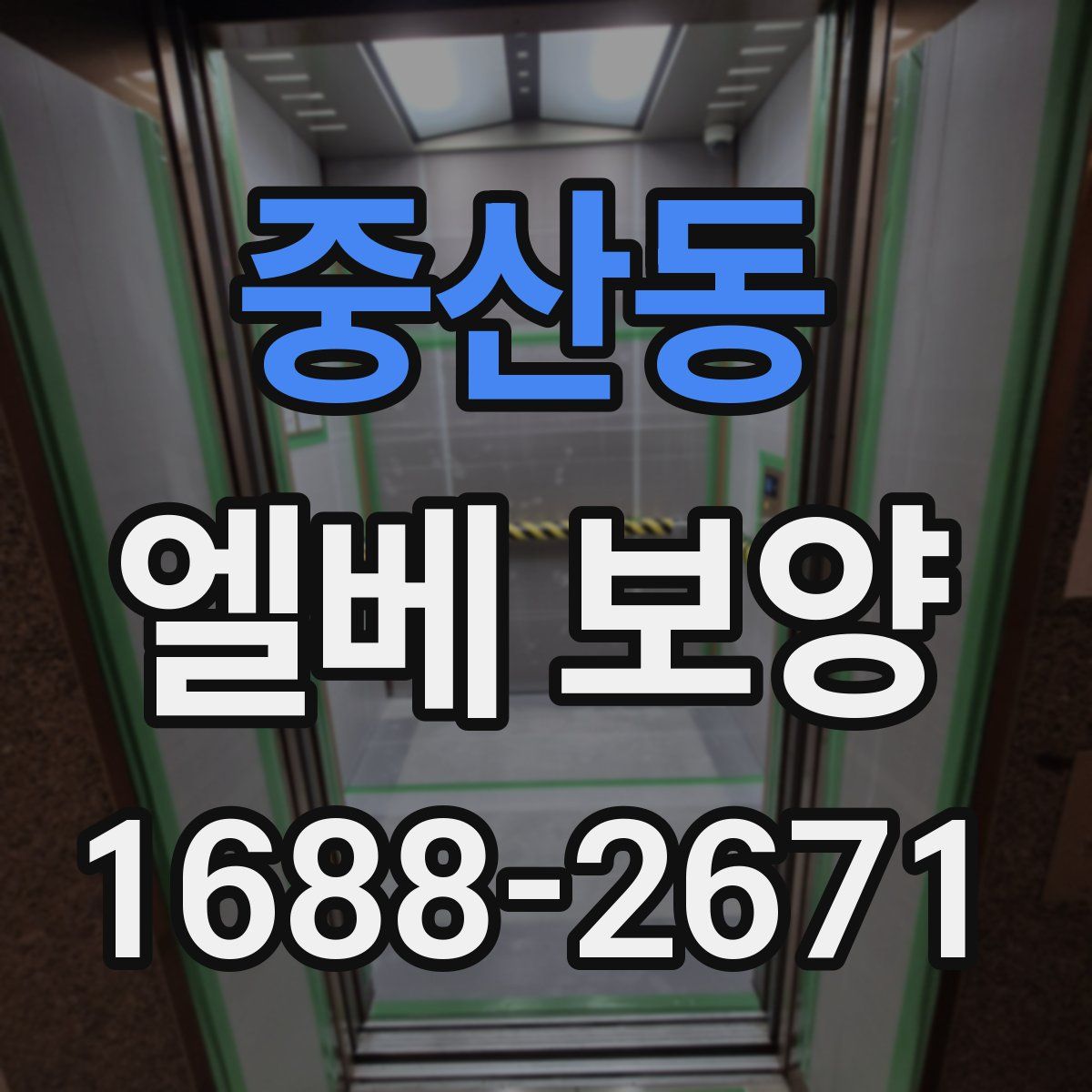 중산동 엘베 보양