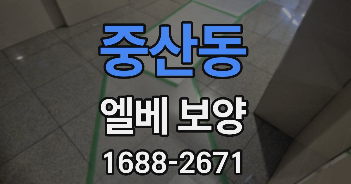 중산동 엘베 보양