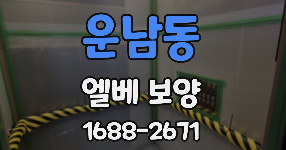 운남동 엘베 보양