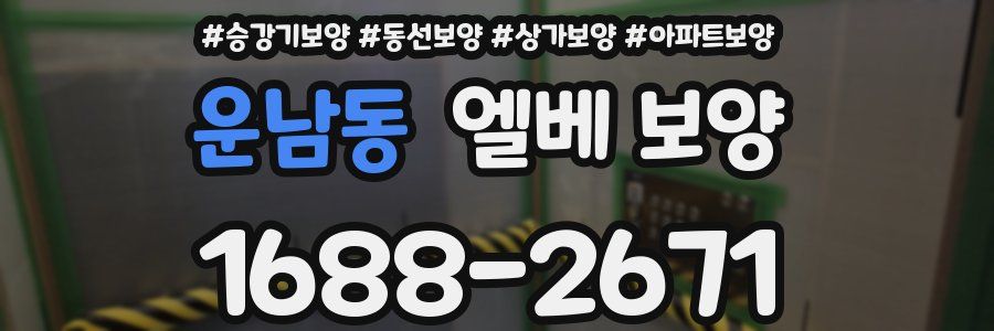 운남동 엘베 보양