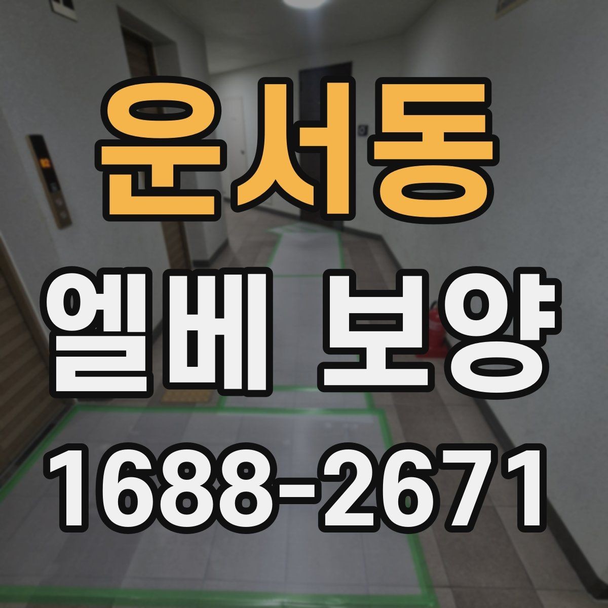 운서동 엘베 보양 보행 동선이 복잡한 아파트에서 먼저 볼 점
