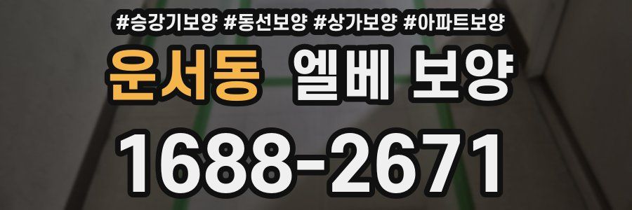 운서동 엘베 보양