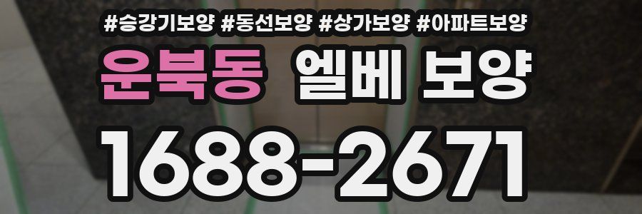 운북동 엘베 보양