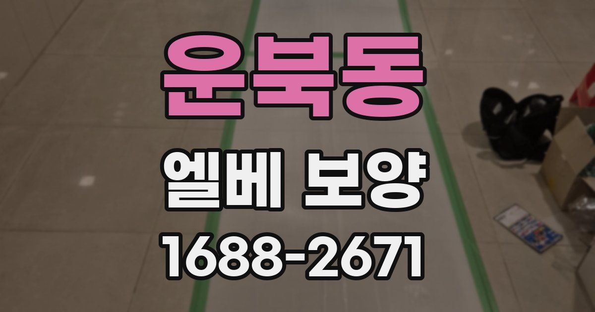 운북동 엘베 보양