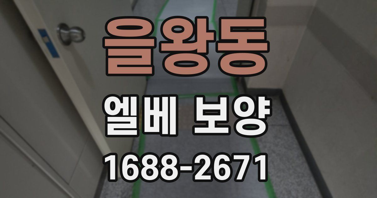 을왕동 엘베 보양