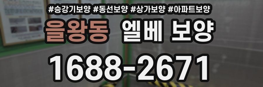 을왕동 엘베 보양