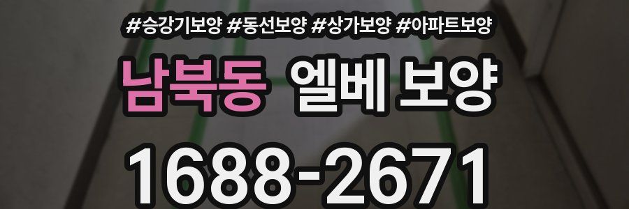 남북동 엘베 보양