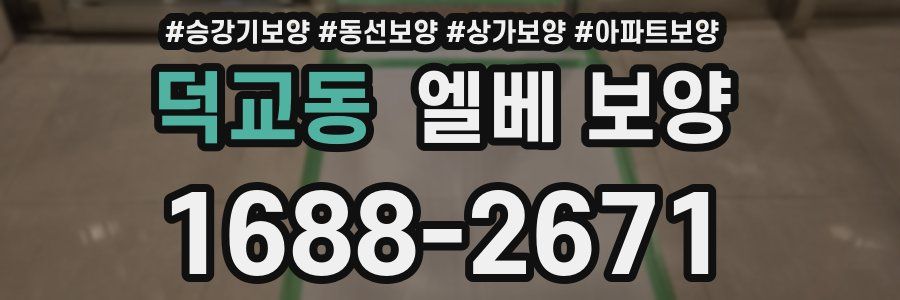 덕교동 엘베 보양