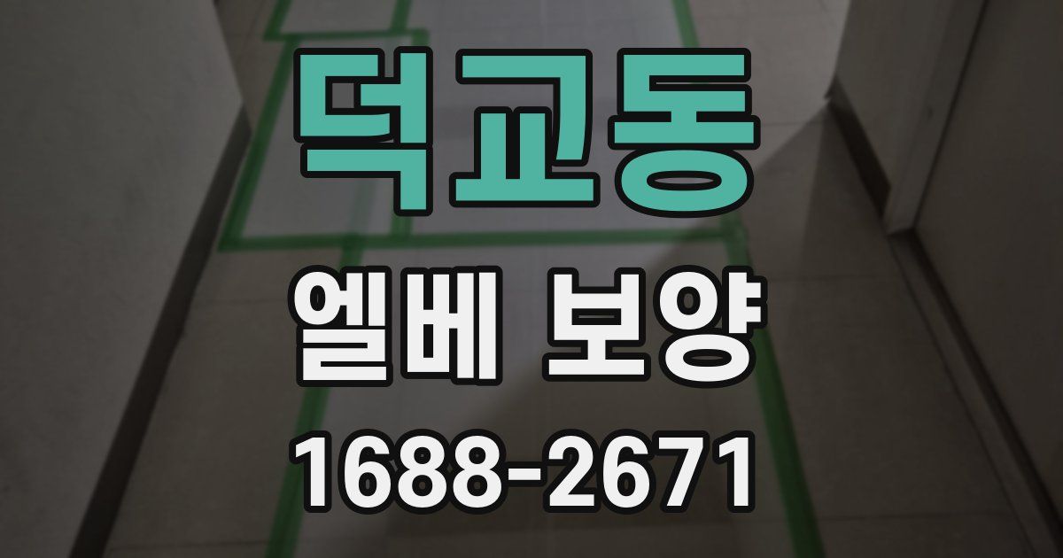 덕교동 엘베 보양