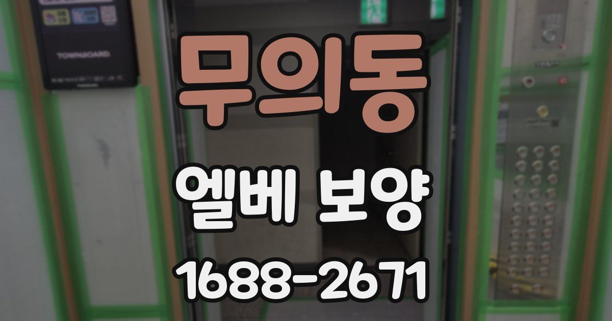무의동 엘베 보양