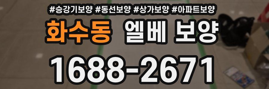 화수동 엘베 보양