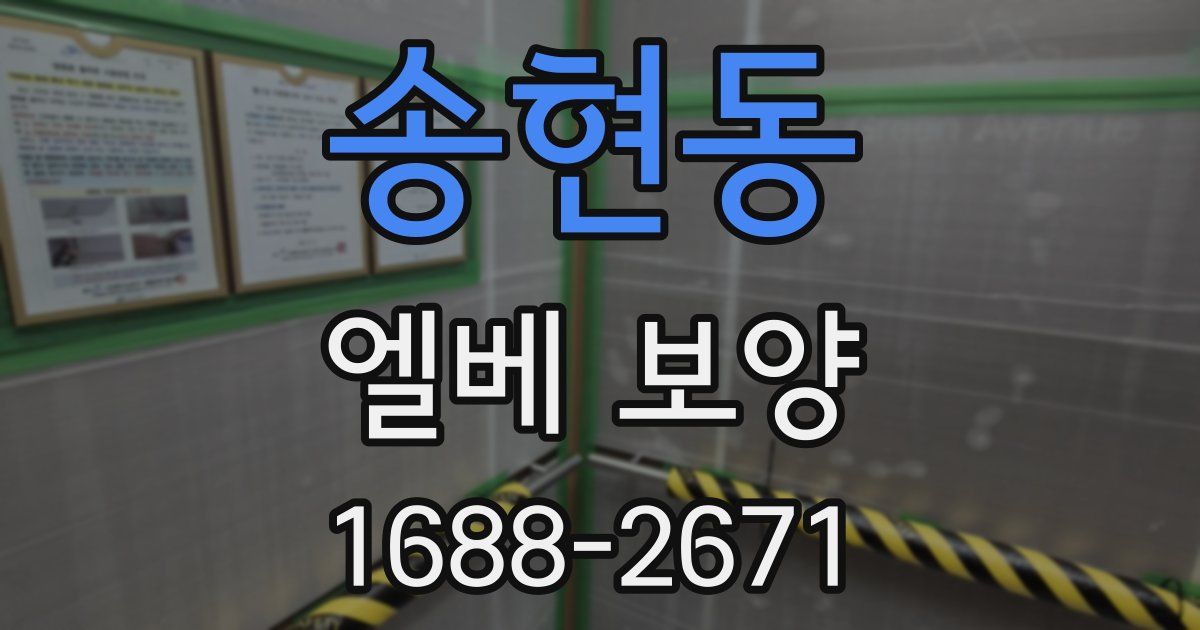 송현동 엘베 보양