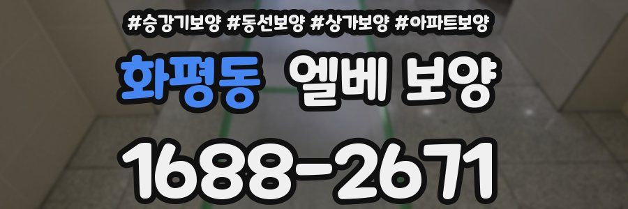 화평동 엘베 보양