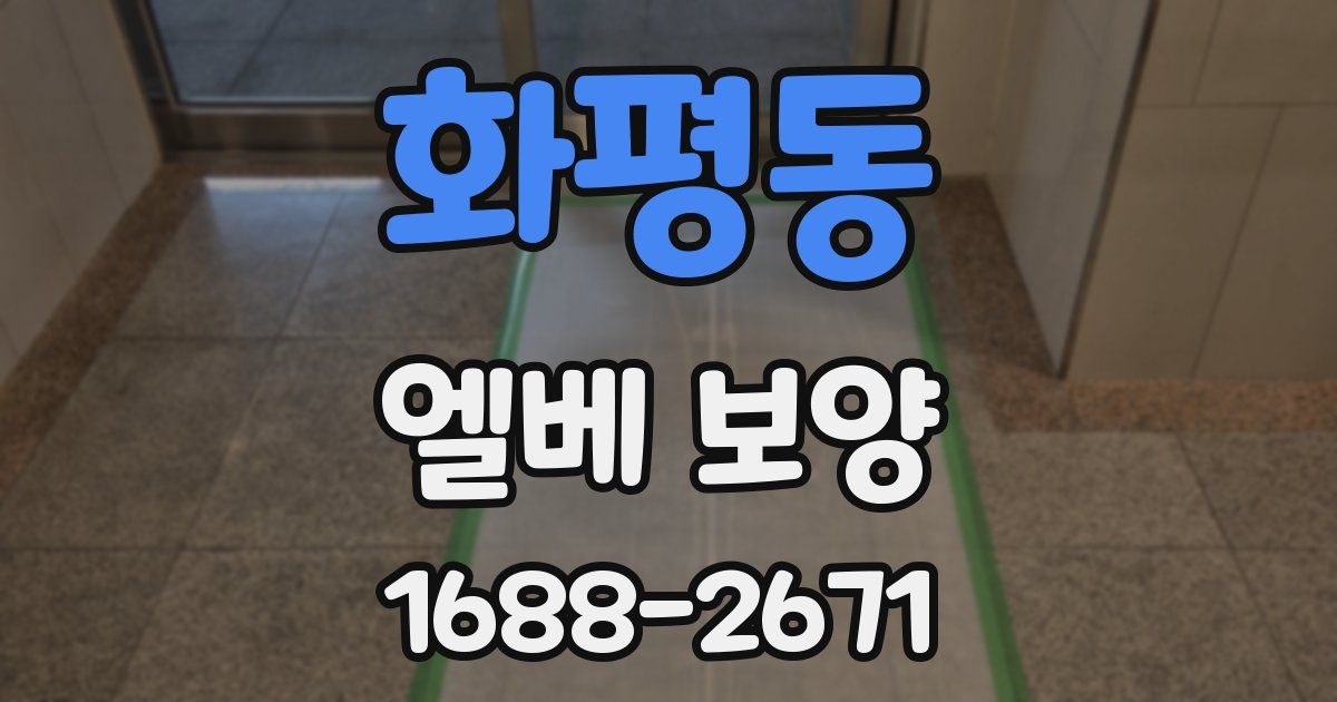 화평동 엘베 보양