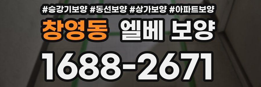 창영동 엘베 보양