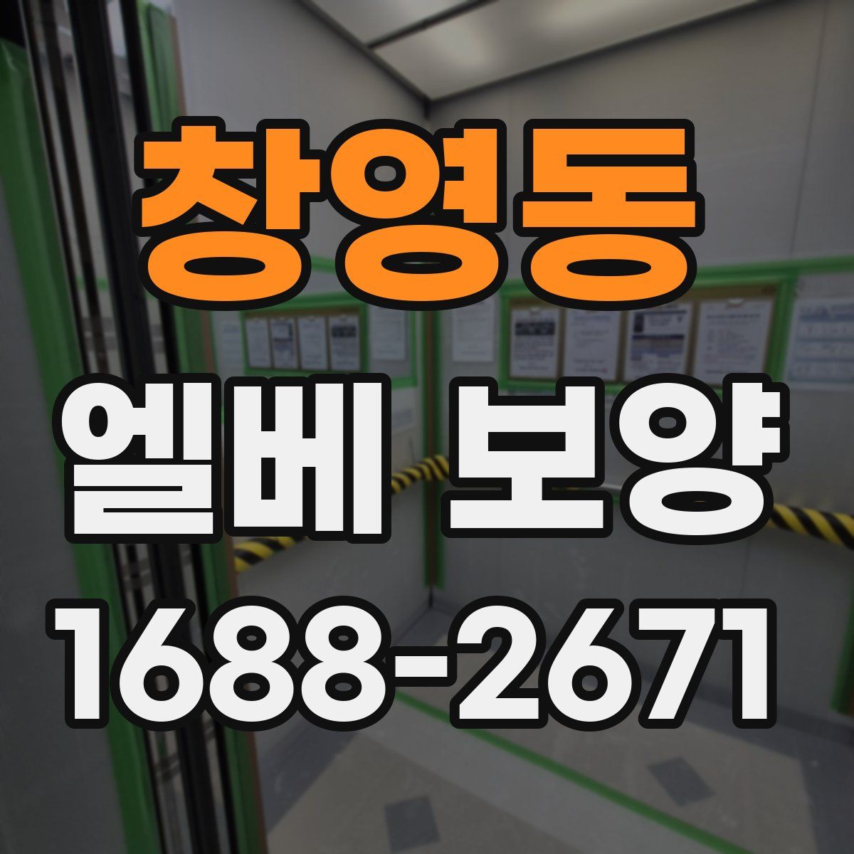 창영동 엘베 보양