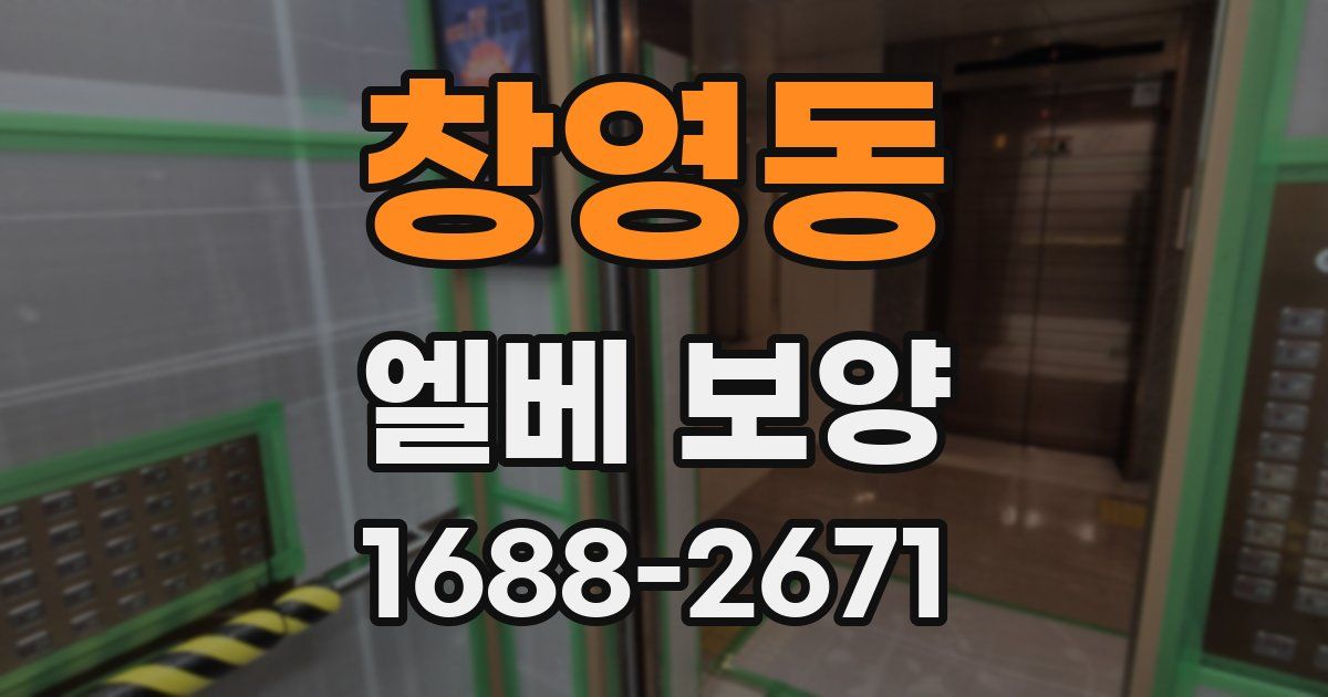 창영동 엘베 보양