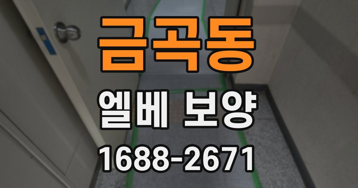 금곡동 엘베 보양