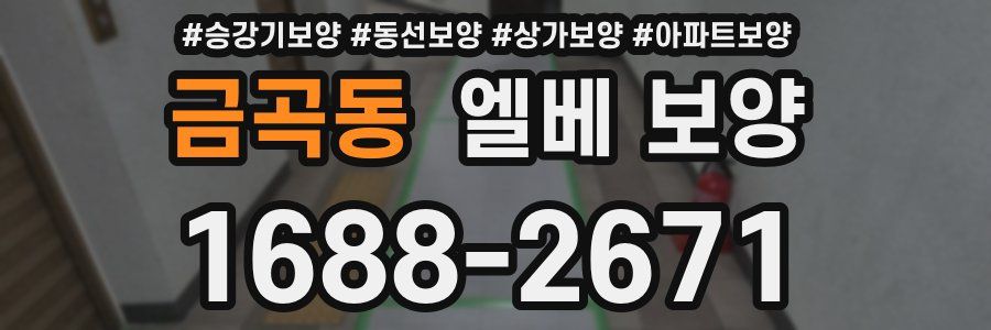 금곡동 엘베 보양
